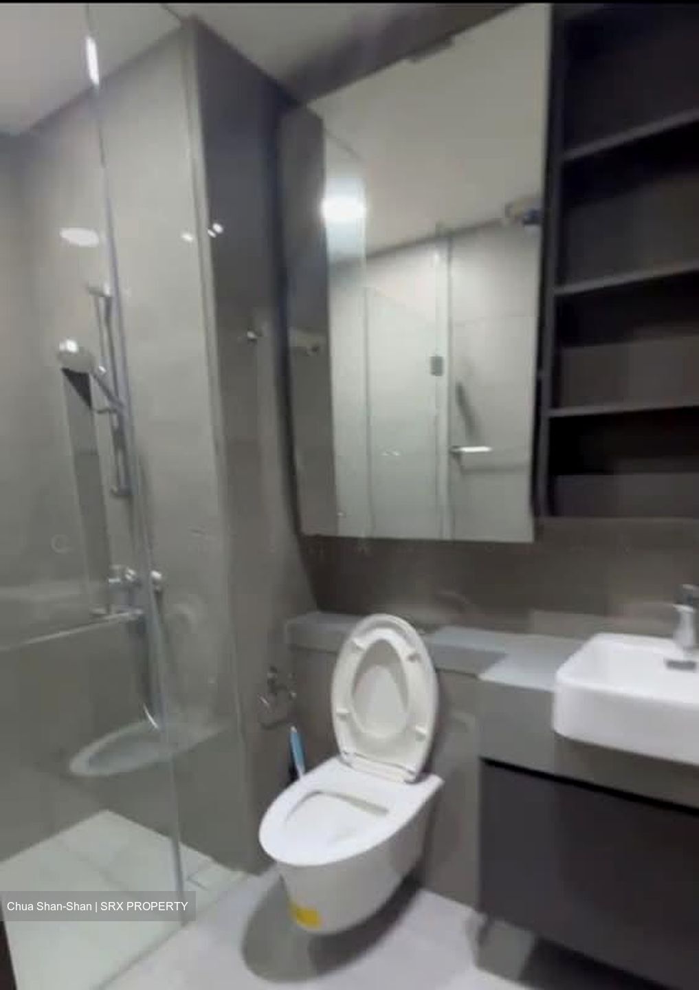 Parc Clematis (D5), Apartment #599072911
